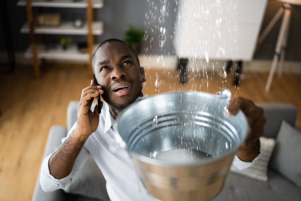 Best Water damage restoration mold remediation  in Fayetteville, NY