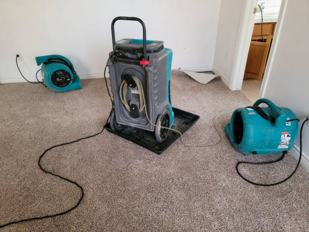 Water damage restoration mold remediation in Fayetteville, NY