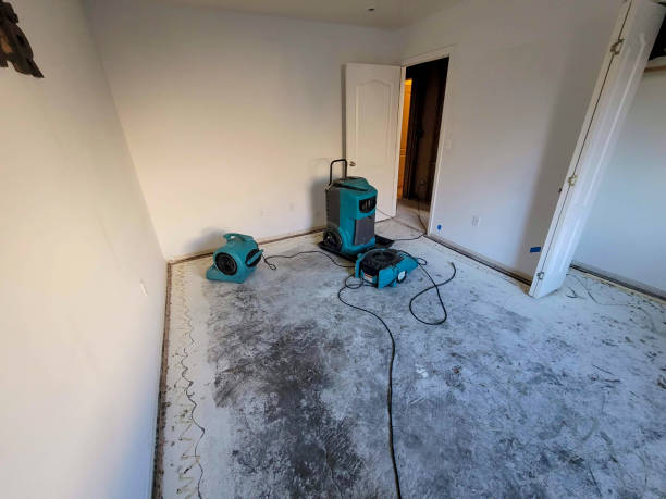 Best 24/7 water damage repair  in Fayetteville, NY