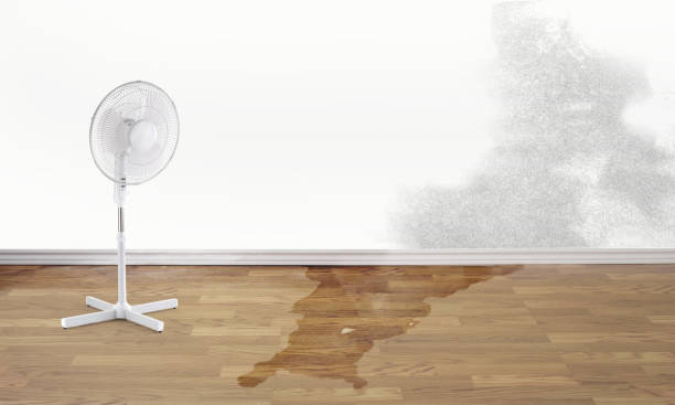 Best 24-hour water damage restoration  in Fayetteville, NY