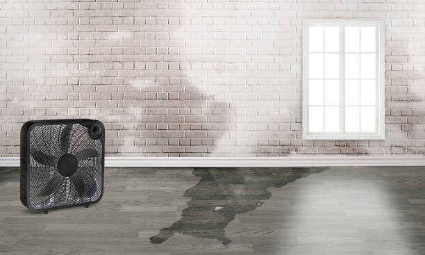 Best Commercial water damage restoration  in Fayetteville, NY