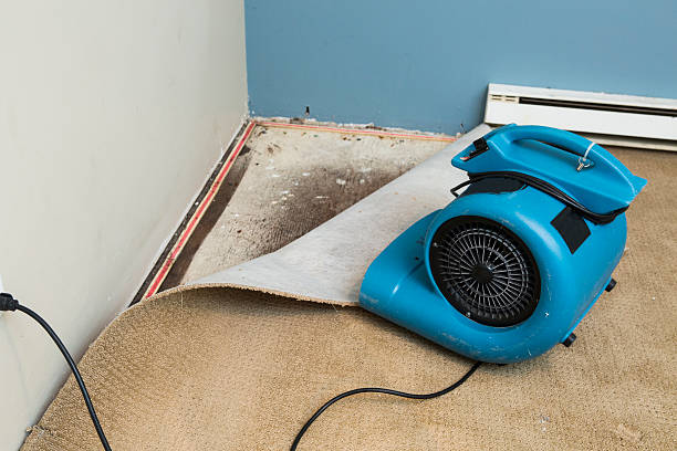 Fayetteville, NY Water damage restoration Pros